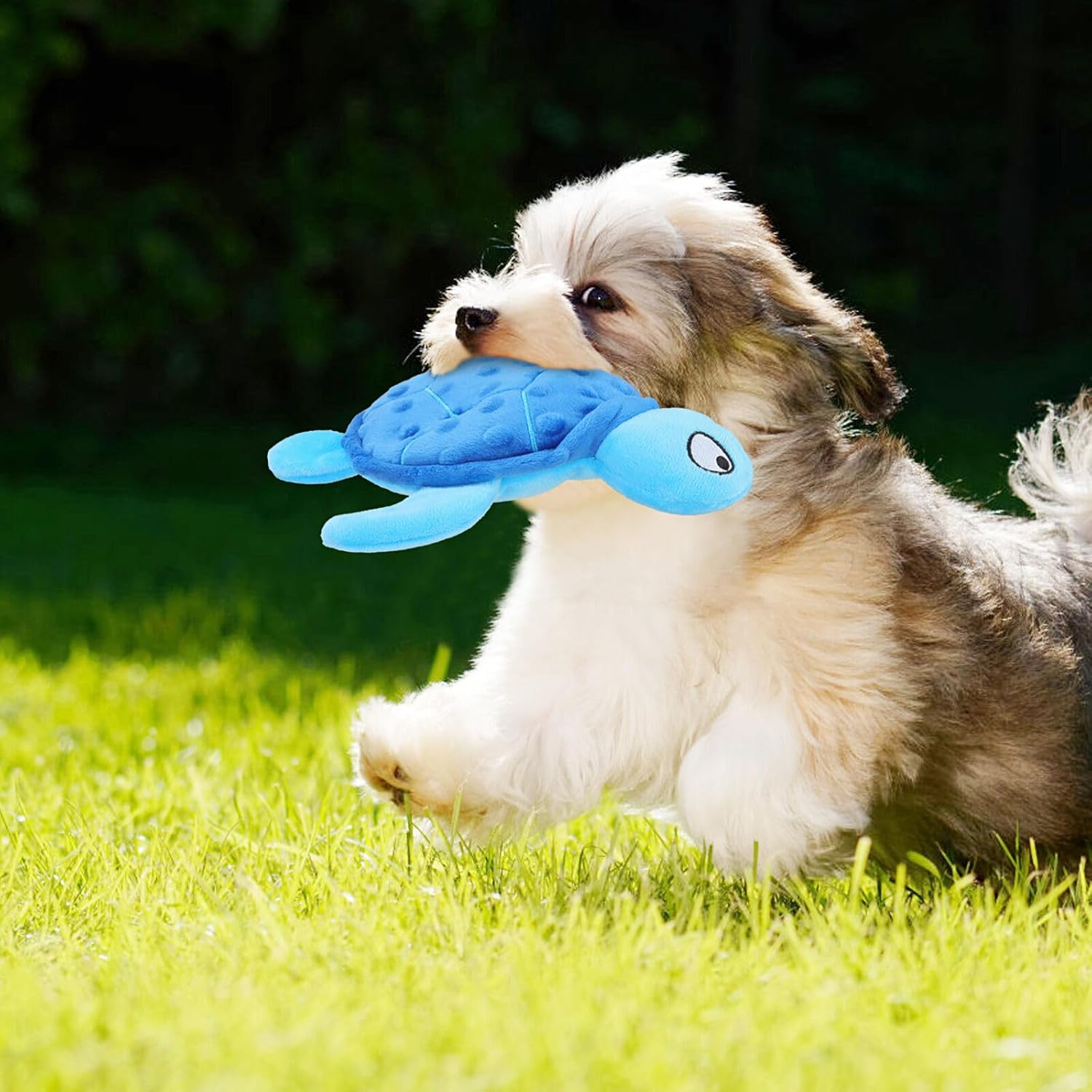 No-stuffing squeaky sea turtle dog toy